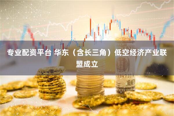 专业配资平台 华东（含长三角）低空经济产业联盟成立