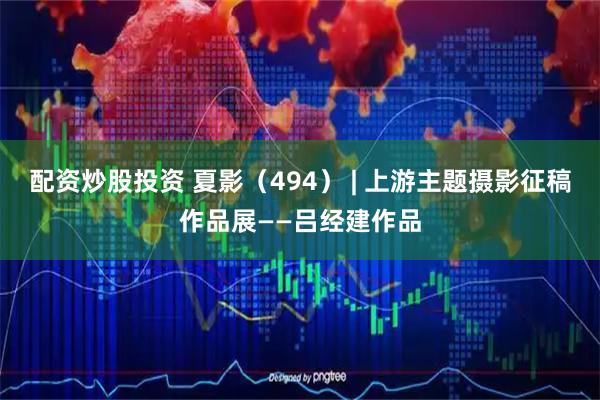 配资炒股投资 夏影（494） | 上游主题摄影征稿作品展——吕经建作品