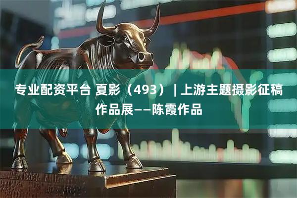 专业配资平台 夏影（493） | 上游主题摄影征稿作品展——陈霞作品